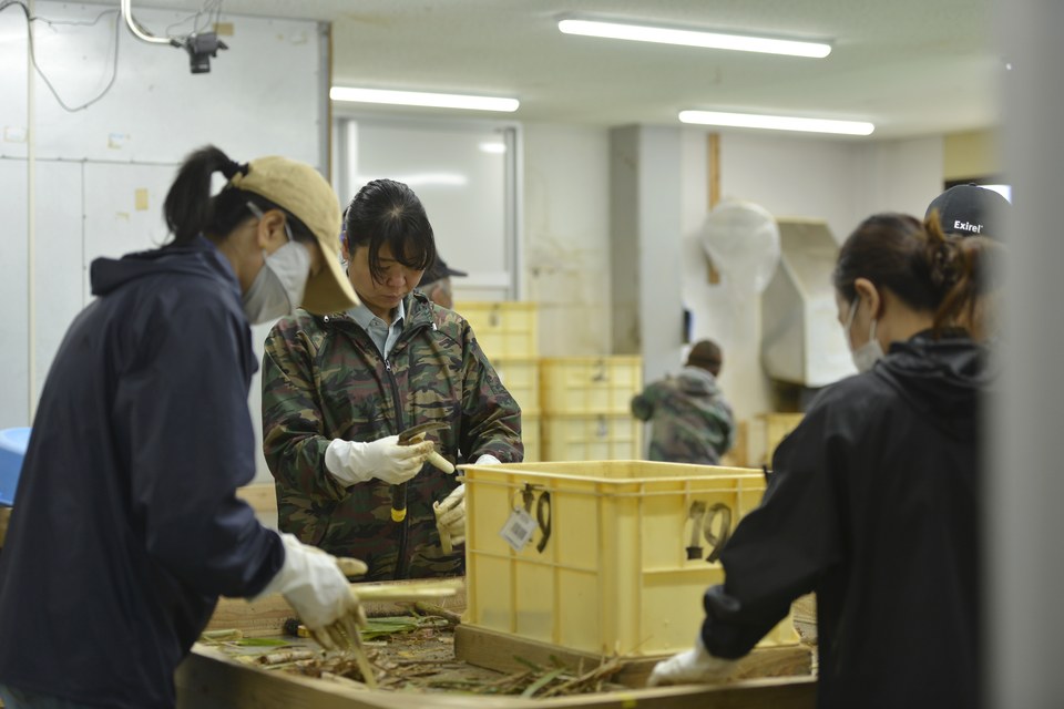 品質選別の画像